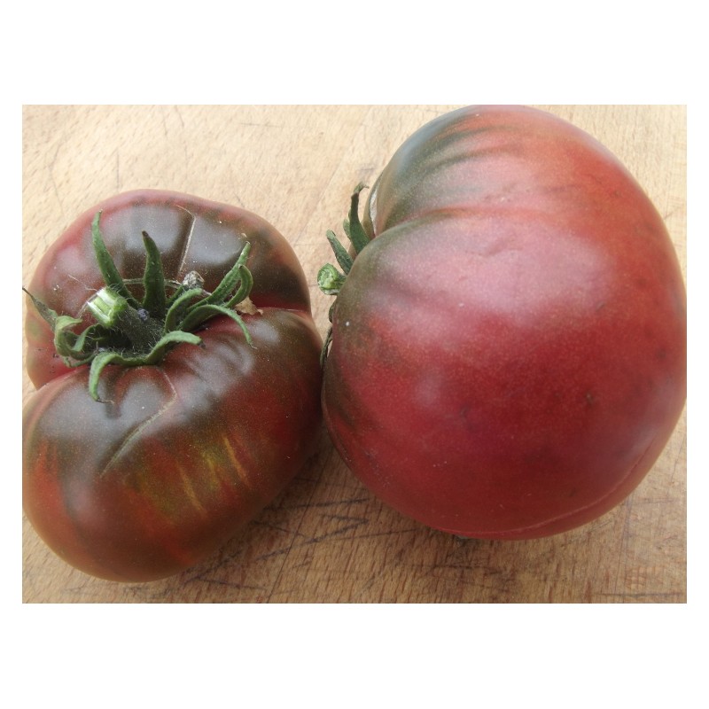 Graines de Tomate Noire de Crimée - Le Comptoir des graines