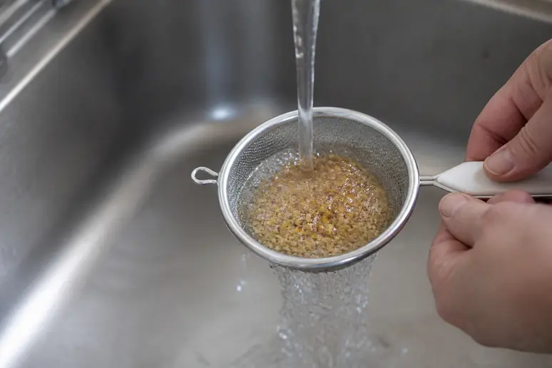 Rinçage minutieux des graines de tomates après la fermentation pour éliminer toute trace de pulpe gélatineuse.