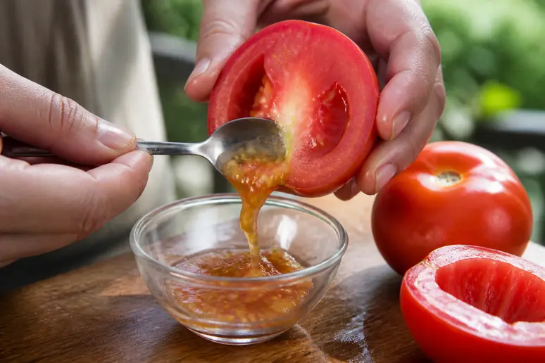 Mains extrayant la pulpe et les graines de tomates dans un petit récipient pour récolter graines tomates.