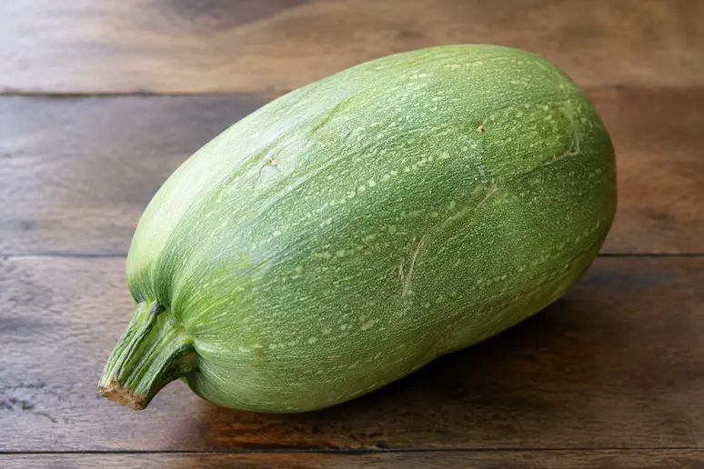 Courge spaghetti verte posée sur une table en bois avant la récolte