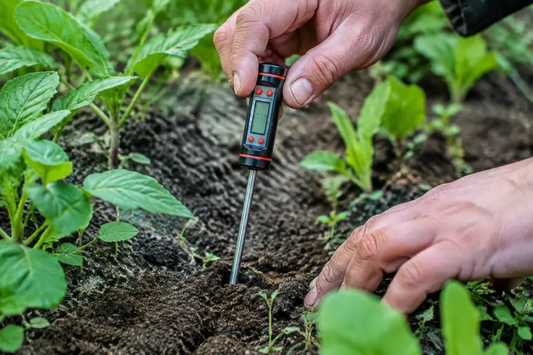 Jardinier mesurant la température du sol avec un thermomètre de terre avant le semis